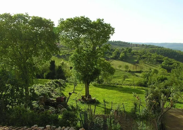 'frane' Mit Eigenem Pool By Interhome Vikendica