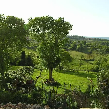 'frane' Mit Eigenem Pool By Interhome Vakantiehuis